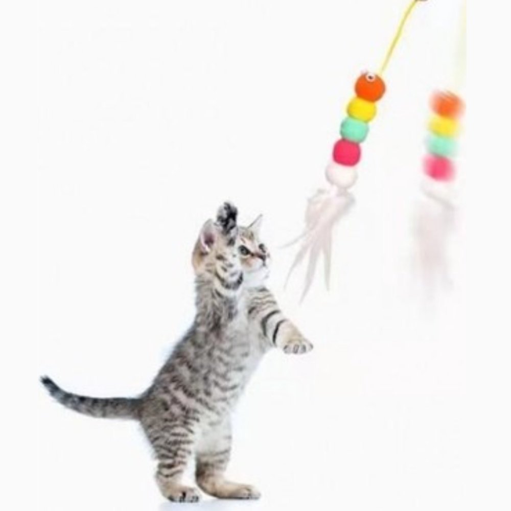 Yapışkanlı%20Kedi%20Oyun%20Oltası