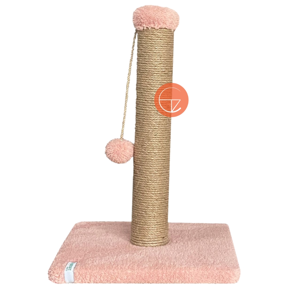 Luca%20Ponponlu%20Kedi%20Tırmalaması